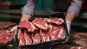 Kırmızı et fiyatlarını düşürecek proje geliyor! Pilot il olarak Erzurum seçildi